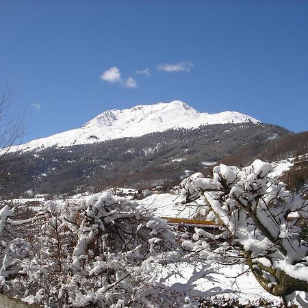 Gaesteheim Prantl سولدن المظهر الخارجي الصورة